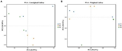 Evaluation of stirring time through a rumen simulation technique: Influences on rumen fermentation and bacterial community